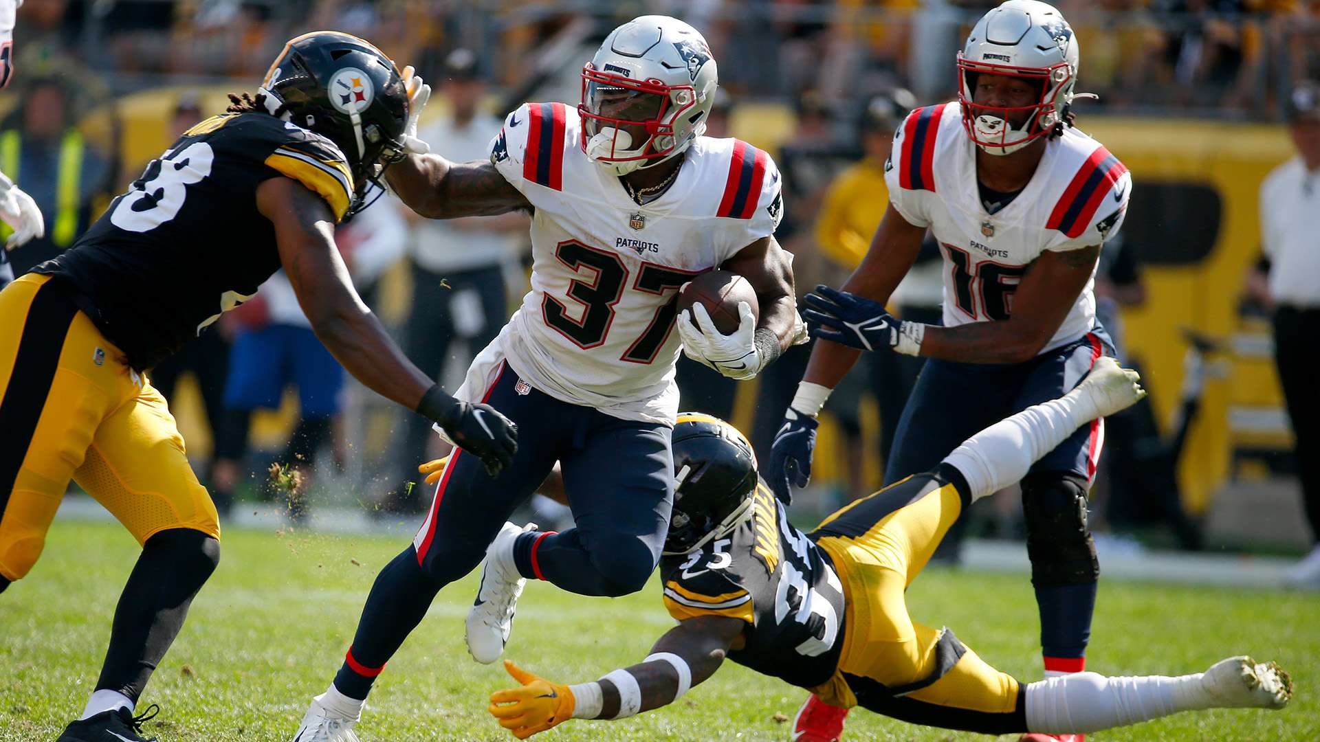 在这个充满 在这个充满